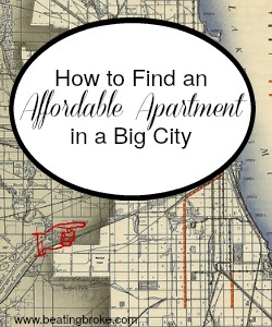 Affordable Apartment in a Big City