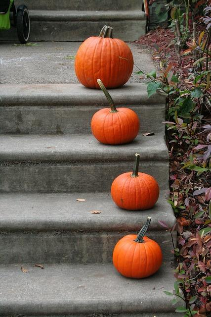 frugal fall home decorations