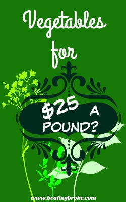 Vegetables for $25 a pound?
