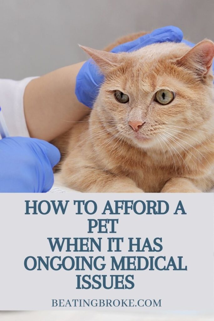 How to Afford a Pet When It Has Ongoing Medical Issues
