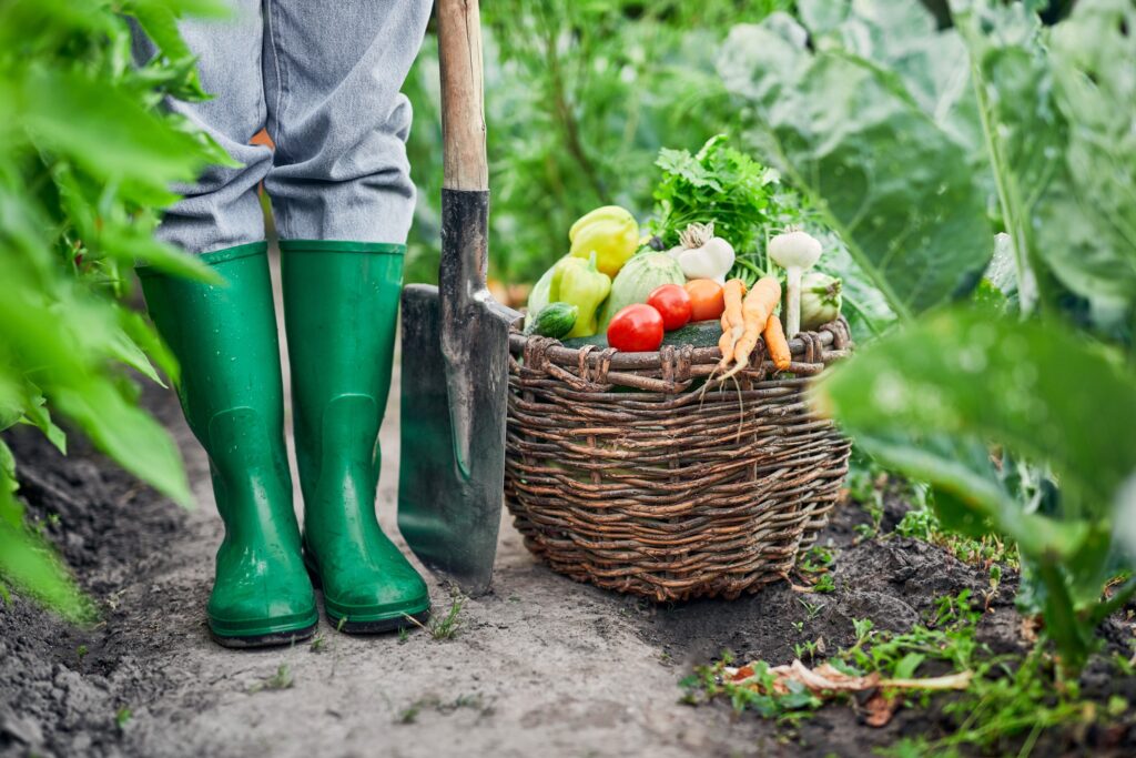 Gardener standing by a bushel of vegetables