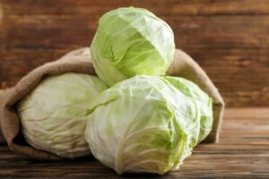 Cabbage