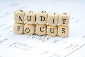 Understand the Scope of the Audit